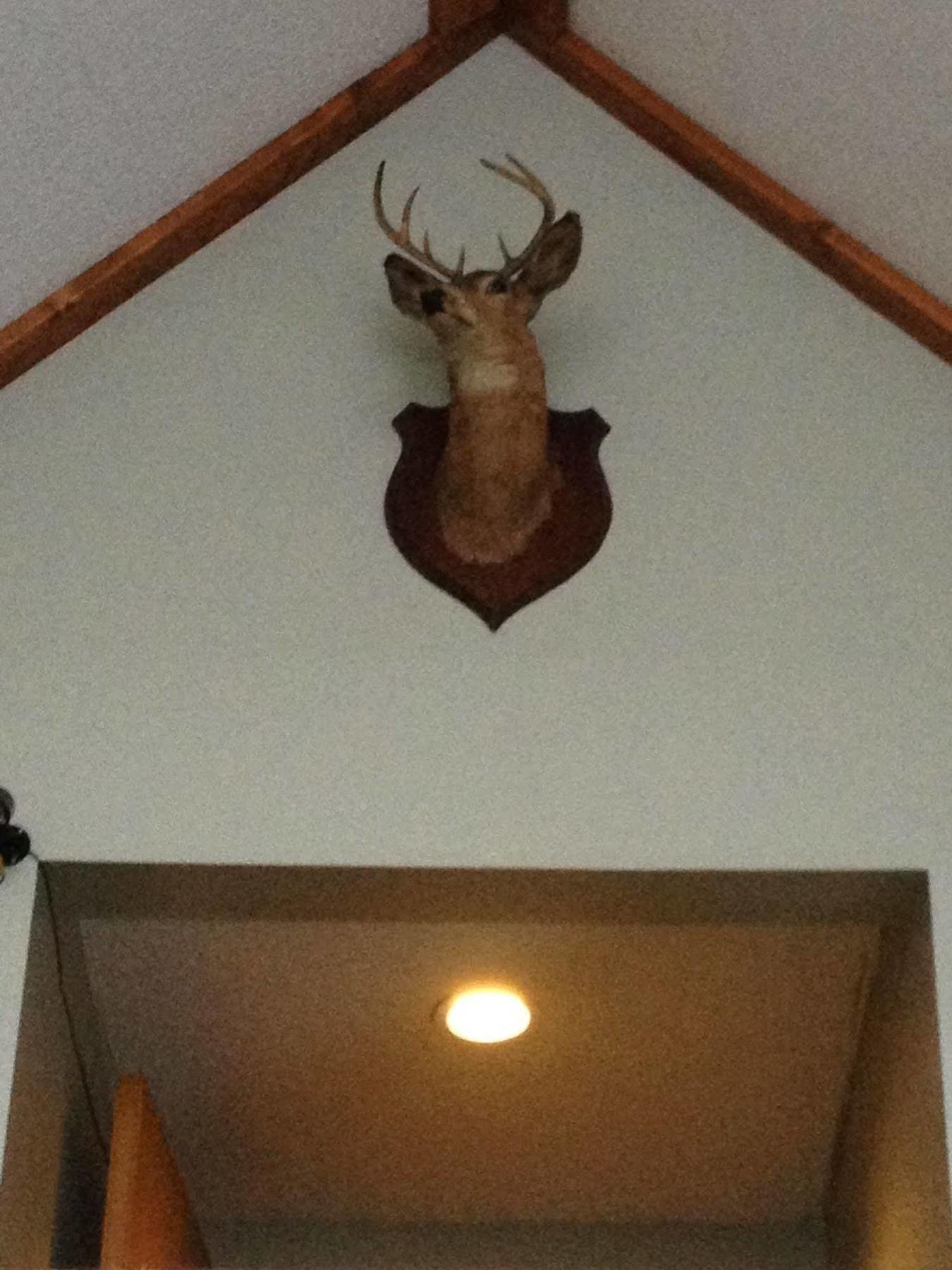 Chaffee Lodge エクステリア 写真